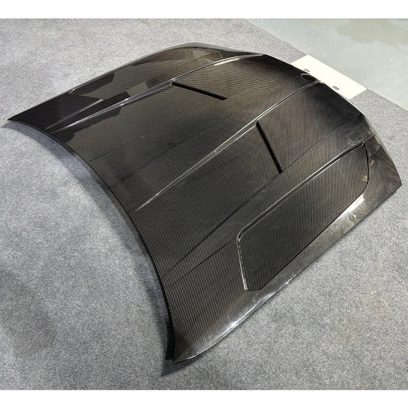 Capó de carbono seco BMW X3 G01 G02 2018-2024