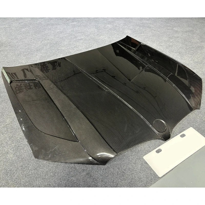 Capó de carbono seco BMW X3 G01 G02 2018-2024